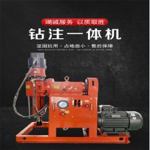 /˫ҺZLJ950Ĵʽעӹ Ƕȴ׹ཬһ