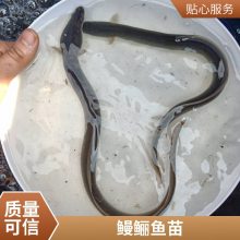 糡 ڰʵ ˮƷʺ ͻ