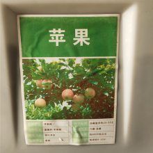 优质新采摘水果种子 苹果种子 发芽*** 价格便宜
