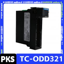 51454475-100 RAMģ