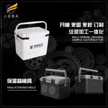 塑胶保温箱模具 做塑胶保温箱模具 供应运输箱模具