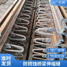 公路桥梁伸缩缝 E型C型F型Z型变形缝装置 来图定制
