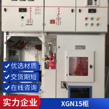 ȫ ȶǿ ѹ XGN15-12 ϶豸