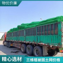三维复合排水网 长丝HDPE垃圾填埋场过滤网 边坡导流土工网 可定制
