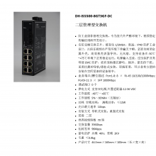  DH-IS5500-8GT3GF-DC ҵͻ