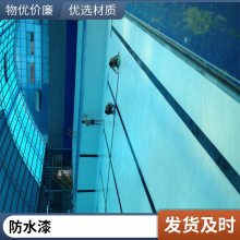 管道防腐涂料 环保鱼池漆 耐酸碱 白色型 品种多样