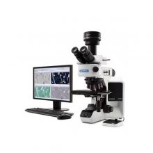 透皮乳膏粒度晶型分析仪