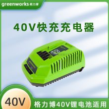 格力博40V电池充电器配件Greenworks 4Ah/5Ah/26Ah 通用电池40V充电器包邮