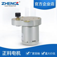 ZHENGK ZS-RG ɵתѼСʴص12V 24V