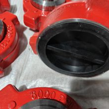 Ժɹ 3FIG602*SCH80*6000PSI*A105N *⾶88.9mm* ں7.62mm