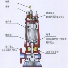 QW潜水排污泵 污水泵 潜污泵 隆信机电设备供应