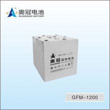 奥冠蓄电池GFM-800铅酸免维护2V800AH光伏发电EPS UPS储能原装电源