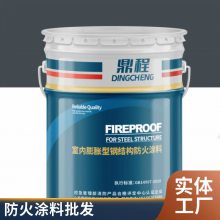 江苏超薄型室外室内膨胀型钢构防火涂料钢结构防火涂料检测包工包料
