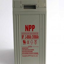 NPG2-800 2V800AH ܷʽǦ