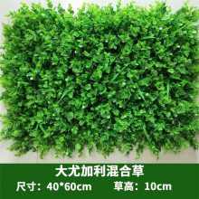 �ȼ�����ϲݷ����̻��������Ʊڹ�����ֲ��ٻ��ݱ���ǽ������ֲ