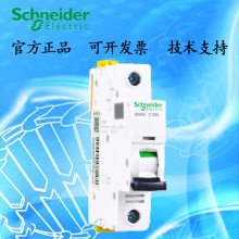施耐德 IC65N 1P C10A--施耐德 iC65微型斷路器IC65N 1P C10A空開