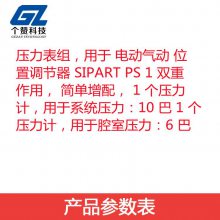 ȫԭװ6DR4004-2M SIPART ܵ綯Ŷλ