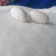 յר100g˿ ò˿ ˿¿
