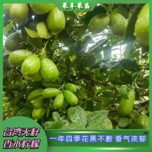 ԸҲҪ򼸿ù㶫ˮ