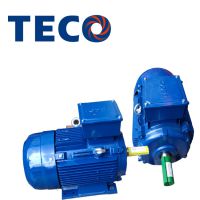 東元電機(jī) 剎車(chē)電機(jī) AEEF剎車(chē)電機(jī) 三項(xiàng)異步電機(jī) 電機(jī)設(shè)備 電動(dòng)機(jī)