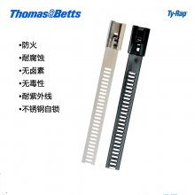 ThomasBetts 通贝TY526M Ty-Rap耐高温尼龙扎带 聚酰胺白色进口扎带