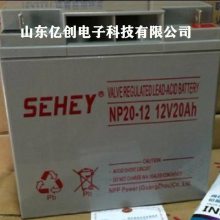 SEHEYNP24-1212V24AHӦϵͳ