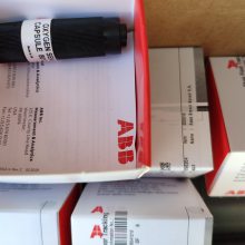 AP303/21020001/STD ABB PH电极