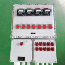 加气站使用防爆配电箱 不锈钢照明动力检修插座箱 铸铝磁力启动器