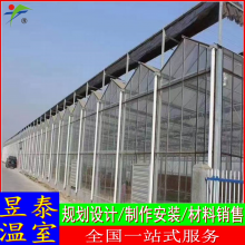 昱泰 纹络阳光板玻璃连栋温室 智能育苗大棚 YTWSWL2021