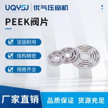 PEEK气阀阀片 自贡东方通用压缩机配件配套厂家