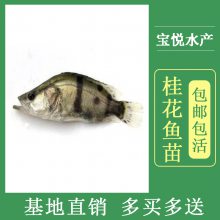 㶫ֳ糡۸