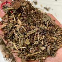 出售中药材连钱草 连钱草厂家供应