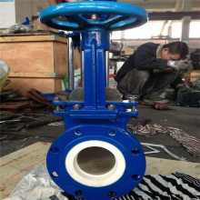 PZ273TC-10C DN100 ҺմɵբҺմɽҺ PZ273TC Һ巧