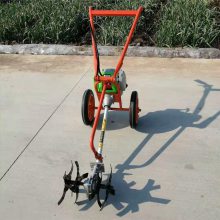 ԰ĸݻ ݻ ĳ̳ݻ̩С