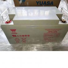 ǳ12V100AH YUASA NP100-12ܷʽά