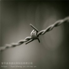 ȶп˿ ߾˿ ӺƬ14*14