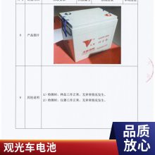  TN12-100άǦ 12V100AH UPSӵ