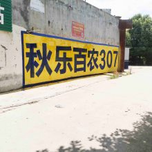 湖北墙体广告 黄石墙体广告 黄石喷绘墙体广告***点位