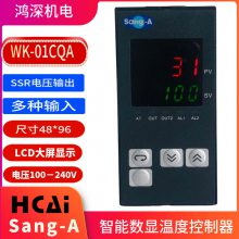 WK-01CQA智能数显温控器 SSR直流电压输出 温度控制器48*96