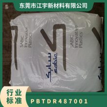 PBT () DR48-7001 עܼ ȼ ͸ ضʳƷ