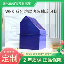 防爆型边墙排风机 安装便捷 工厂车间低噪声边墙式排风设备 可定制
