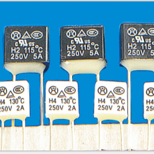 ¶ȱ˿ Ϸ¶ȱ˿ Thermal Fuse