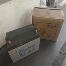 LISHIDJM12100Sҵ12V100AH ʿUPS