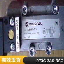 ŵ NORGREN豸ExcelonģʽѹR73G2BTNSG