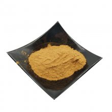 大豆异黄酮厂家