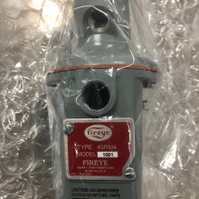 供应美国Fireye 火焰探测器 110VAC 45RM4-1001燃烧控制器