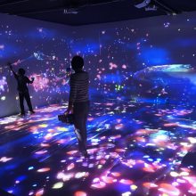 光影灯光秀梦幻灯光展出租，灯光展造型设计制作出租光影展出租