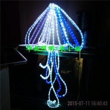 LEDֵ ˮ˫淢ƴ LEDˮ͵Ƴ ·Ƹ ʥ