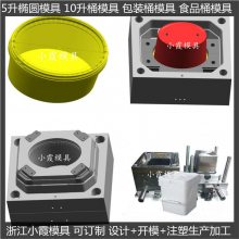 20L油漆桶/大型注塑模具制造加工