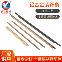 英兰不锈钢门套装饰条收边条家具贴边美鏠装饰条金属踢脚线